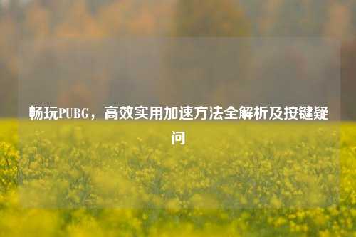 畅玩PUBG，高效实用加速     全解析及按键疑问