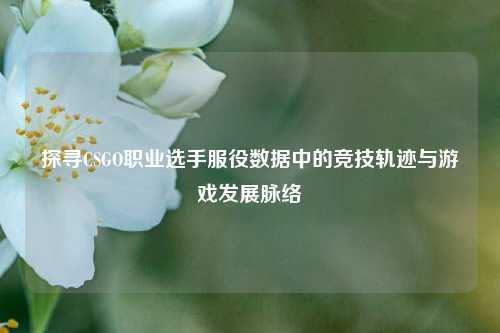 探寻CSGO职业选手服役数据中的竞技轨迹与游戏发展脉络