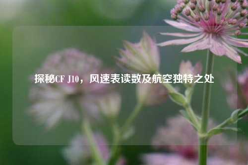 探秘CF J10，风速表读数及航空独特之处