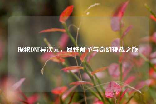 探秘DNF异次元，属性赋予与奇幻挑战之旅