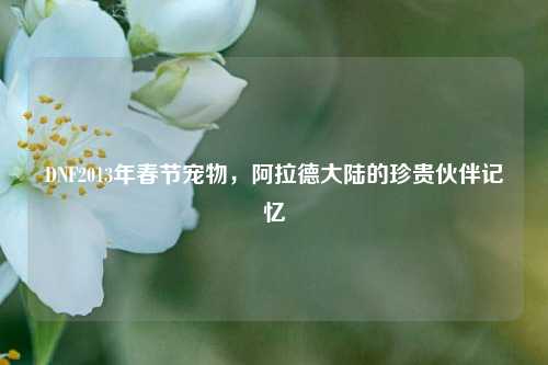 DNF2013年春节宠物，阿拉德大陆的珍贵伙伴记忆
