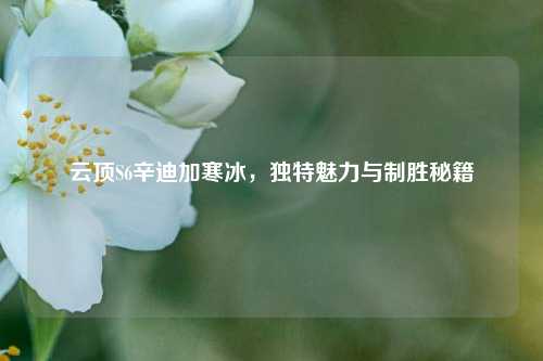 云顶S6辛迪加寒冰，独特魅力与制胜秘籍