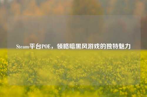 Steam平台POE，领略暗黑风游戏的独特魅力