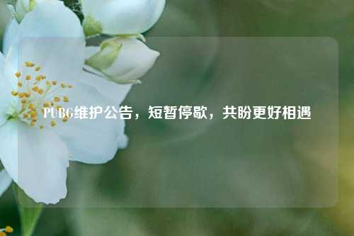 PUBG维护公告，短暂停歇，共盼更好相遇