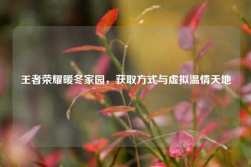 王者荣耀暖冬家园，获取方式与虚拟温情天地