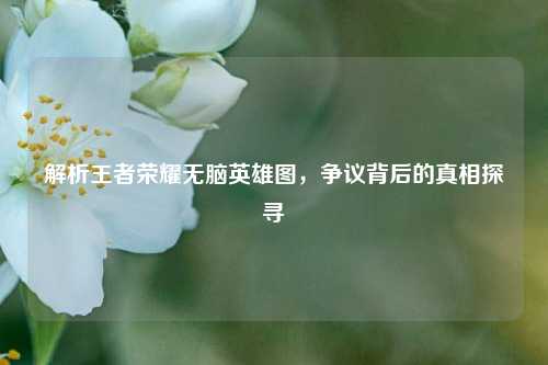 解析王者荣耀无脑英雄图，争议背后的真相探寻