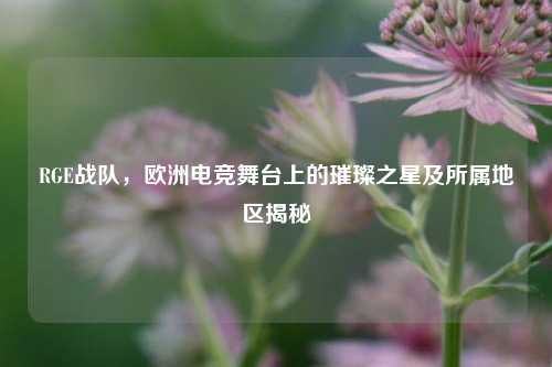 RGE战队，欧洲电竞舞台上的璀璨之星及所属地区揭秘