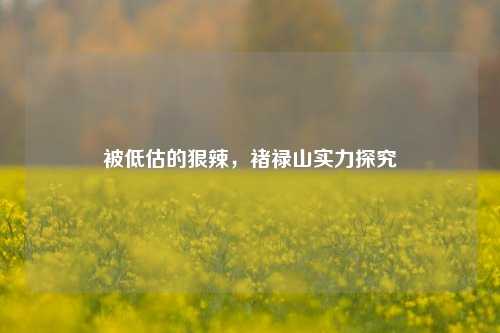 被低估的狠辣，褚禄山实力探究