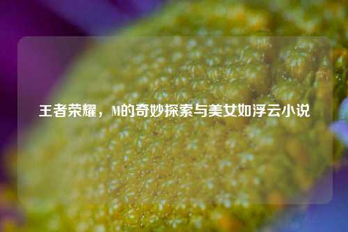 王者荣耀，M的奇妙探索与美女如浮云小说