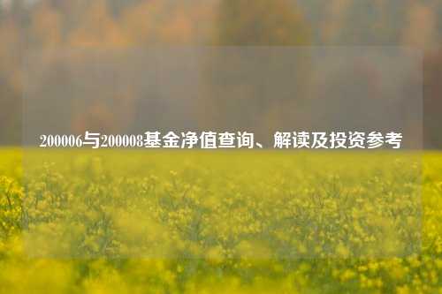 200006与200008基金净值查询、解读及投资参考
