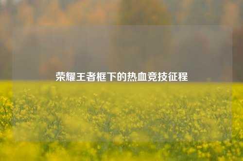 荣耀王者框下的热血竞技征程