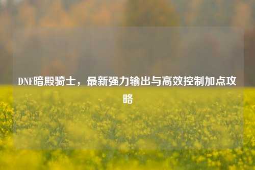 DNF暗殿骑士，最新强力输出与高效控制加点攻略