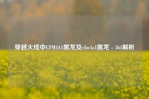 穿越火线中CFM4A1黑龙及cfm4a1黑龙 - 361解析