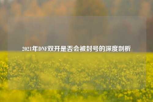 2021年DNF双开是否会被封号的深度剖析