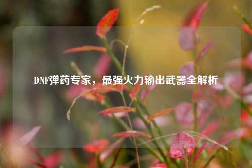 DNF弹药专家，最强火力输出武器全解析