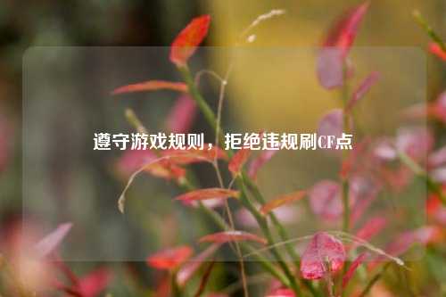 遵守游戏规则，拒绝违规刷CF点