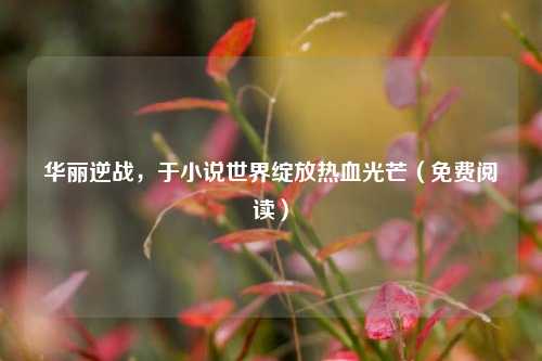 华丽逆战，于小说世界绽放热血光芒（免费阅读）
