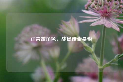 CF雷霆角色，战场传奇身影