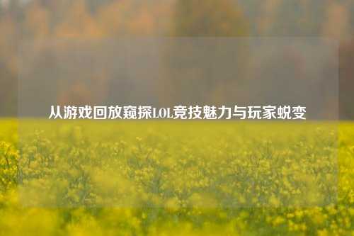 从游戏回放窥探LOL竞技魅力与玩家蜕变