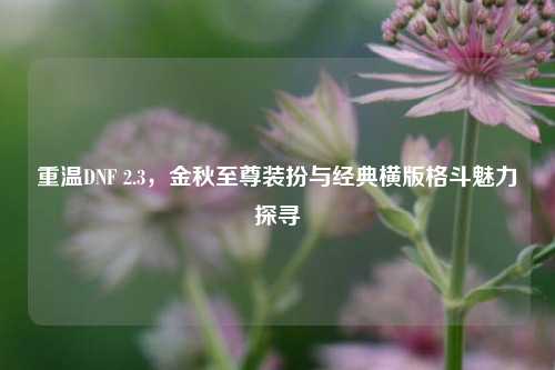 重温DNF 2.3，金秋至尊装扮与经典横版格斗魅力探寻