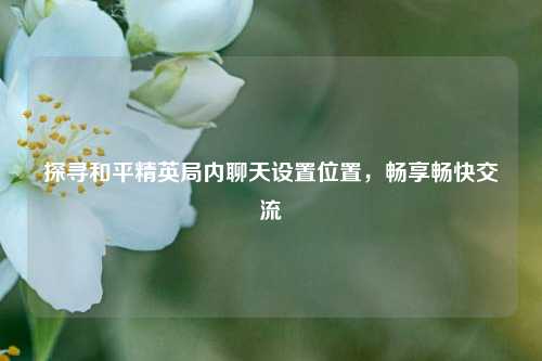 探寻和平精英局内聊天设置位置，畅享畅快交流