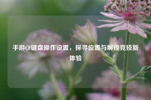 手游CF键盘操作设置，探寻位置与解锁竞技新体验