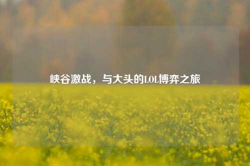 峡谷激战，与大头的LOL博弈之旅