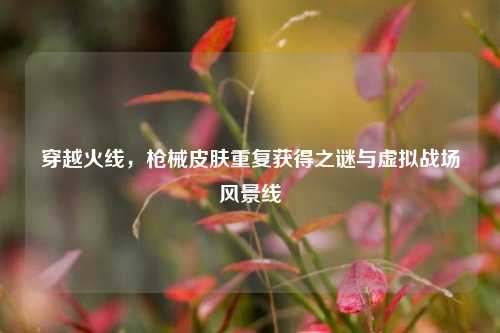 穿越火线，枪械皮肤重复获得之谜与虚拟战场风景线
