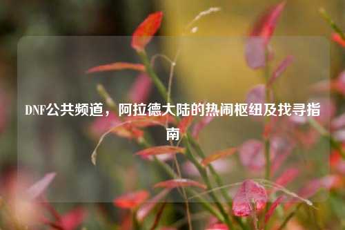 DNF公共频道，阿拉德大陆的热闹枢纽及找寻指南