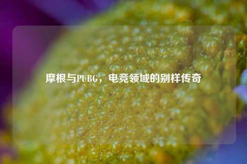摩根与PUBG，电竞领域的别样传奇