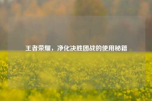 王者荣耀，净化决胜团战的使用秘籍
