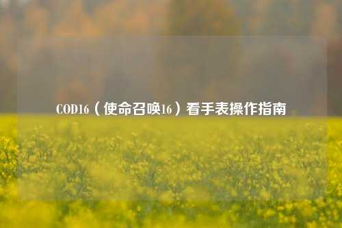 COD16（使命召唤16）看手表操作指南