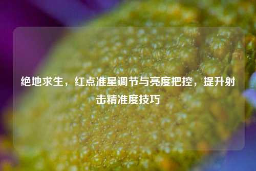 绝地求生，红点准星调节与亮度把控，提升射击精准度技巧